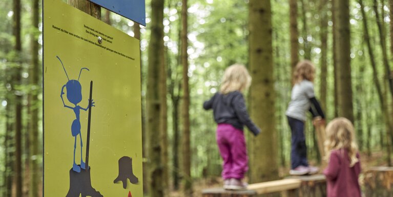 Auf der linken Seite steht ein gelbes Schild mit einer blauen, stehenden Ameise. Auf der rechten Seite laufen drei Kinder über Baumstämme. Sie sind nur unscharf zu erkennen, sodass der Fokus auf dem Schild der "Ameisenstraße" liegt. | © Bodenmais Tourismus & Marketing GmbH