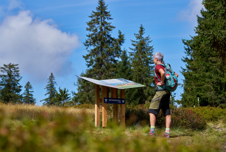 Eine Frau liest eine Informationstafel bei einer Wanderung | © Bodenmais Tourismus & Marketing GmbH