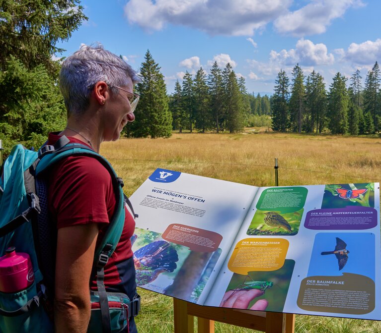 Eine Frau liest auf einer Informationstafel Infos zu heimischen Vögeln durch | © Bodenmais Tourismus & Marketing GmbH