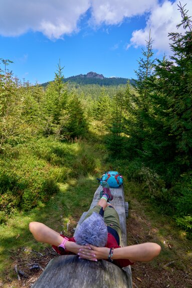 Eine Frau liegt auf einer Bank aus einem Baumstamm und blickt in den Wald und auf einen Berggipfel | © Bodenmais Tourismus & Marketing GmbH