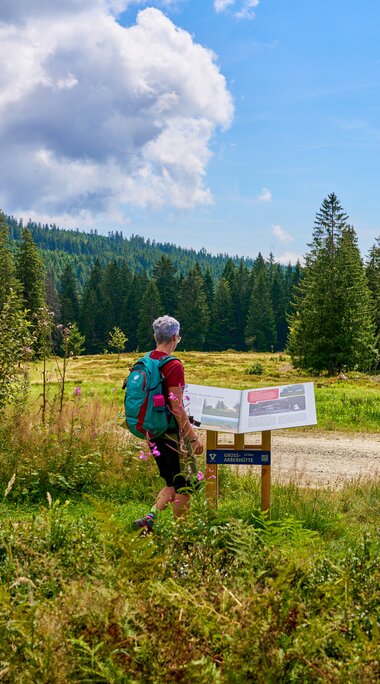 Eine Frau liest eine Informationstafel bei einer Wanderung | © Bodenmais Tourismus & Marketing GmbH