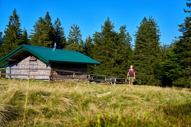 Eine Frau läuft über eine Wiese, auf der eine kleine Hütte mit grünem Dach steht. | © Bodenmais Tourismus & Marketing GmbH