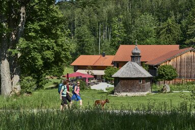 Drei Frauen gehen mit einem Hund an der GutsAlm Harlachberg vorbei. | © Bodenmais Tourismus & Marketing GmbH